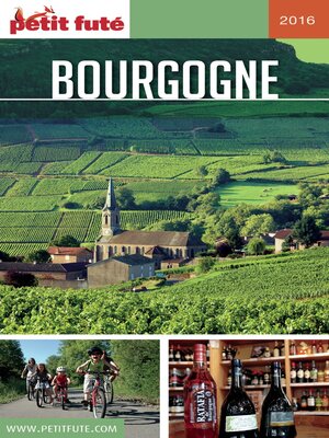cover image of BOURGOGNE 2016/2017 Petit Futé